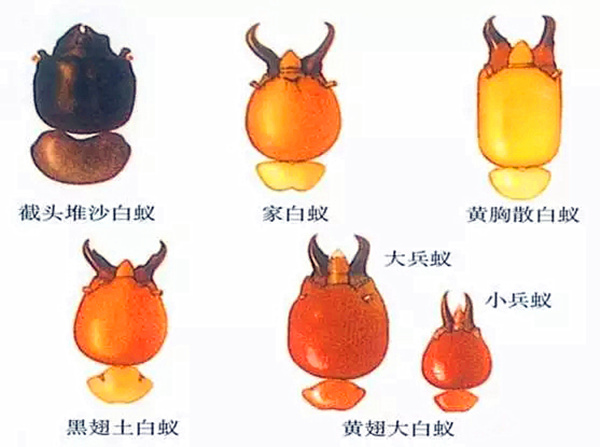 eb556df1e53f4bdbbcd9e9026146ccf2_副本.jpg eb556df1e53f4bdbbcd9e9026146ccf2_副本.jpg