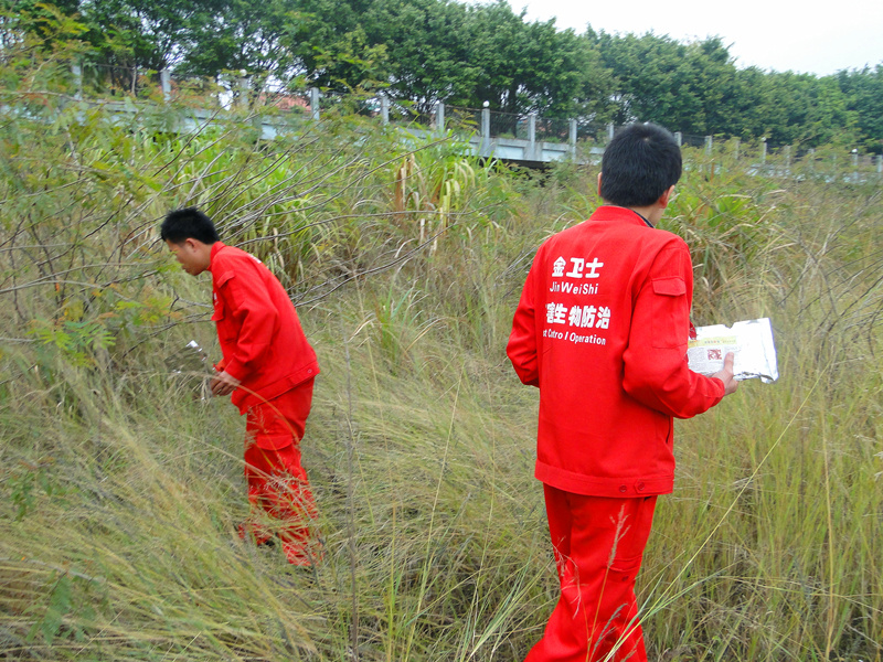 DSC03484_副本.jpg DSC03484_副本.jpg