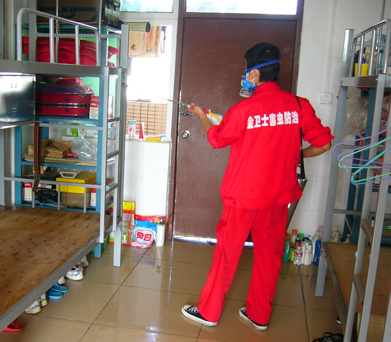P1170336_副本.jpg P1170336_副本.jpg