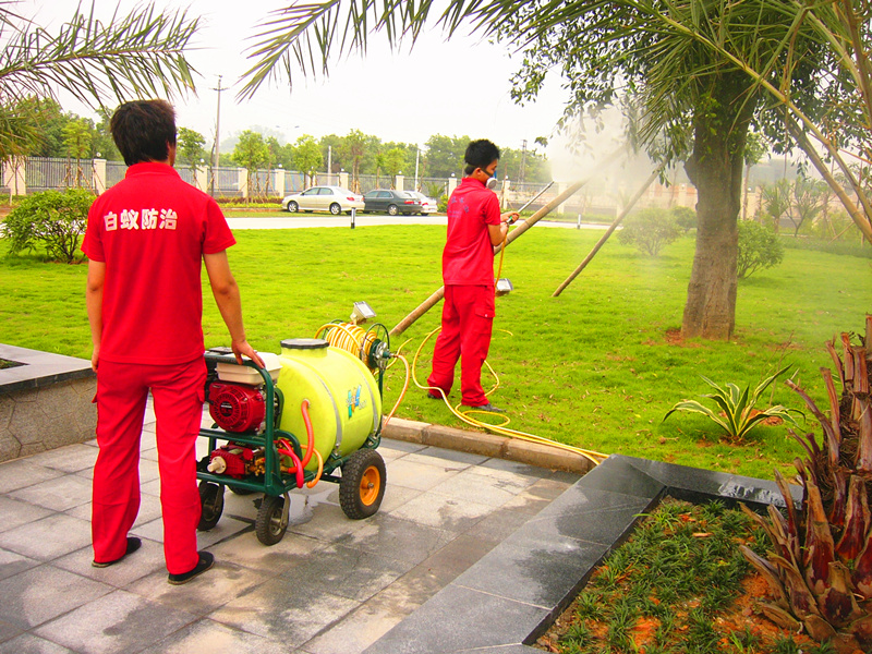 P1120345_副本.jpg P1120345_副本.jpg