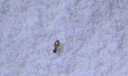 u=2826992020,574932394&fm=26&gp=0.jpg u=2826992020,574932394&fm=26&gp=0.jpg