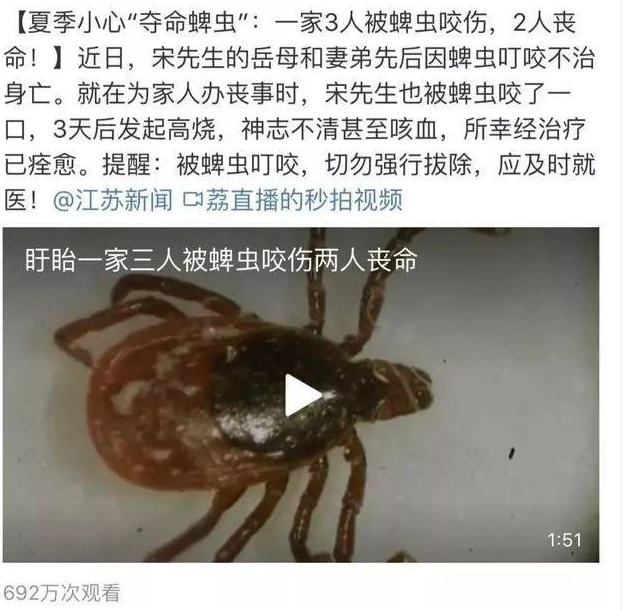 金卫士杀蜱虫 (1).png 金卫士杀蜱虫 (1).png