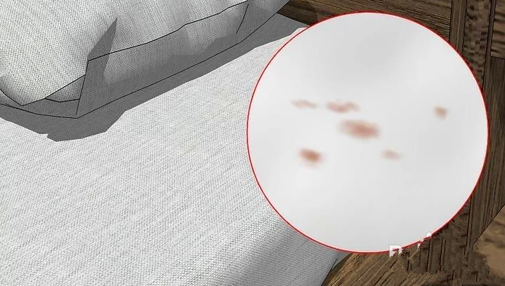 深圳金卫士灭臭虫杀臭虫 (7).png 深圳金卫士灭臭虫杀臭虫 (7).png