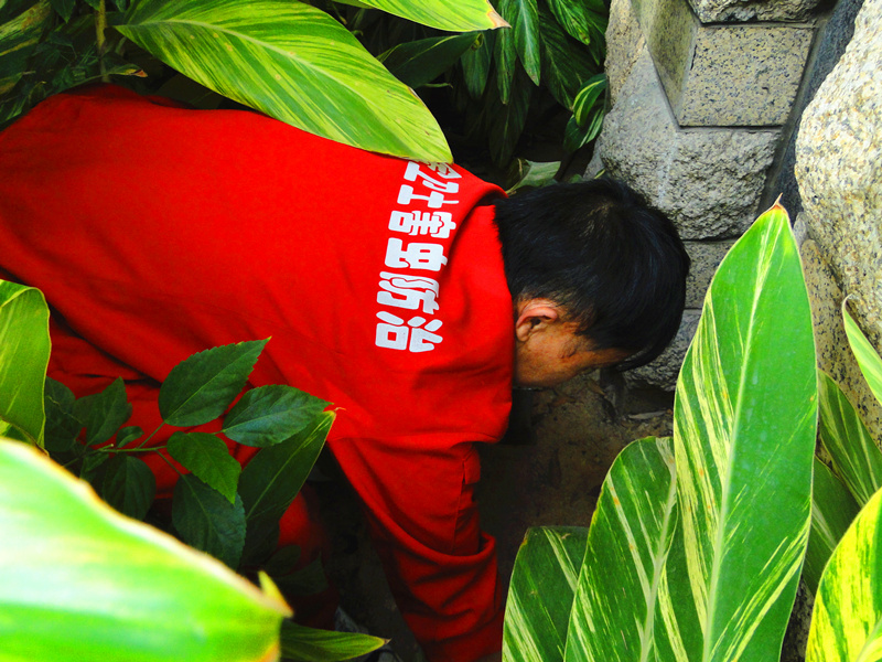 DSC08237_副本.jpg DSC08237_副本.jpg