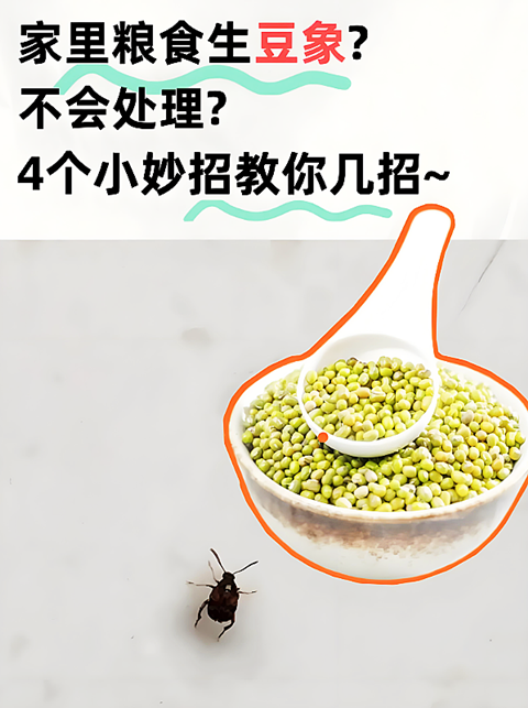 蚕豆�?(7).png 蚕豆�?(7).png