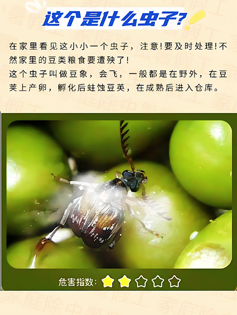 蚕豆�?(8).png 蚕豆�?(8).png