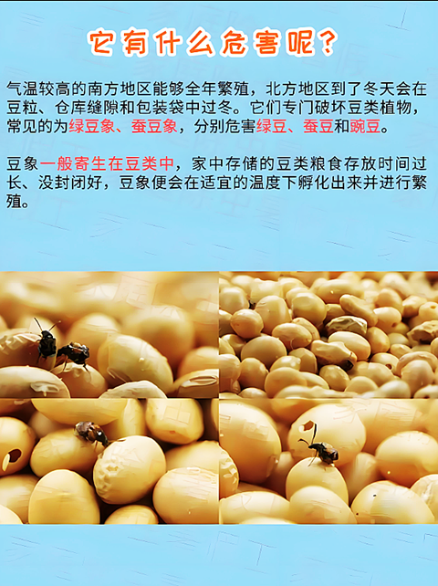 蚕豆�?(9).png 蚕豆�?(9).png